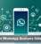 AI Makes WhatsApp Business Setup Easier